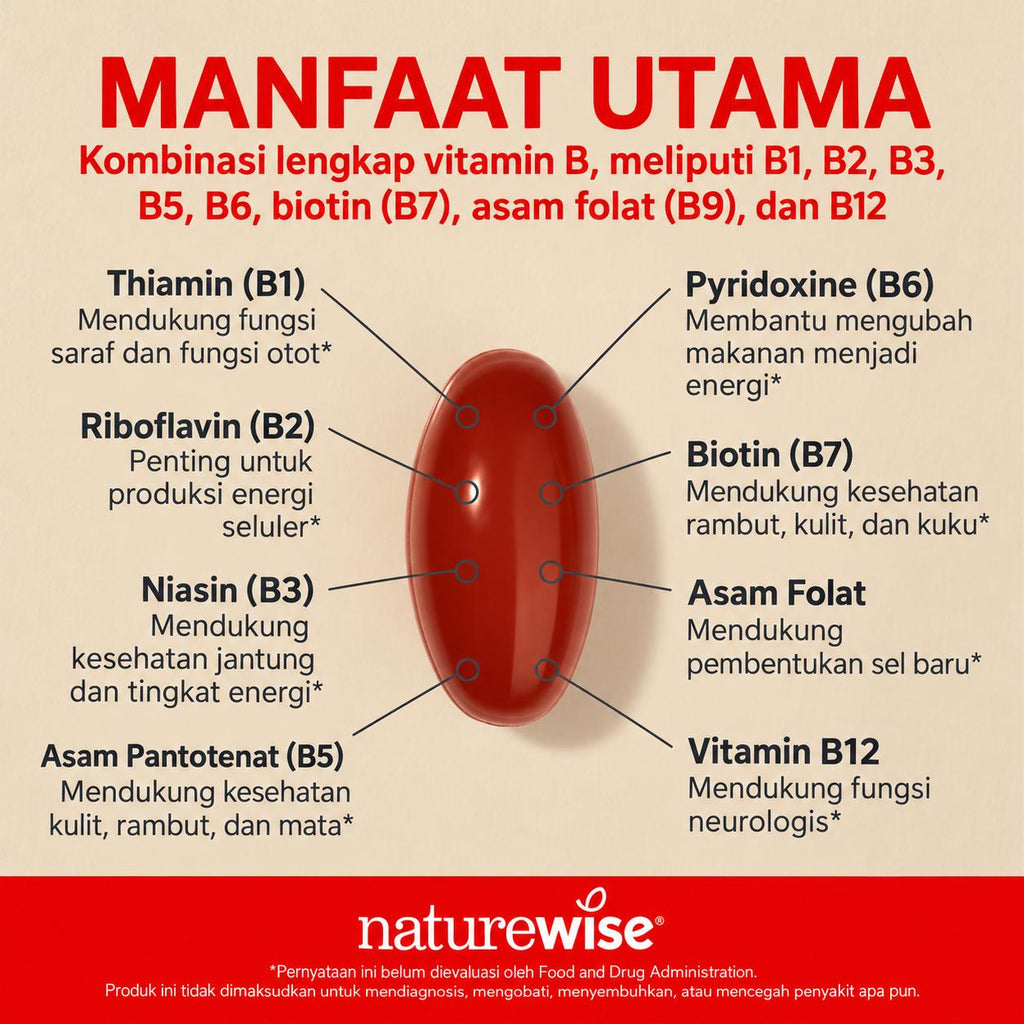 NatureWise Vitamin B Complex B1 B2 B3 B6 B12 for Women and Men + with Folic Acid + Biotin 60 Sofgels Original USA