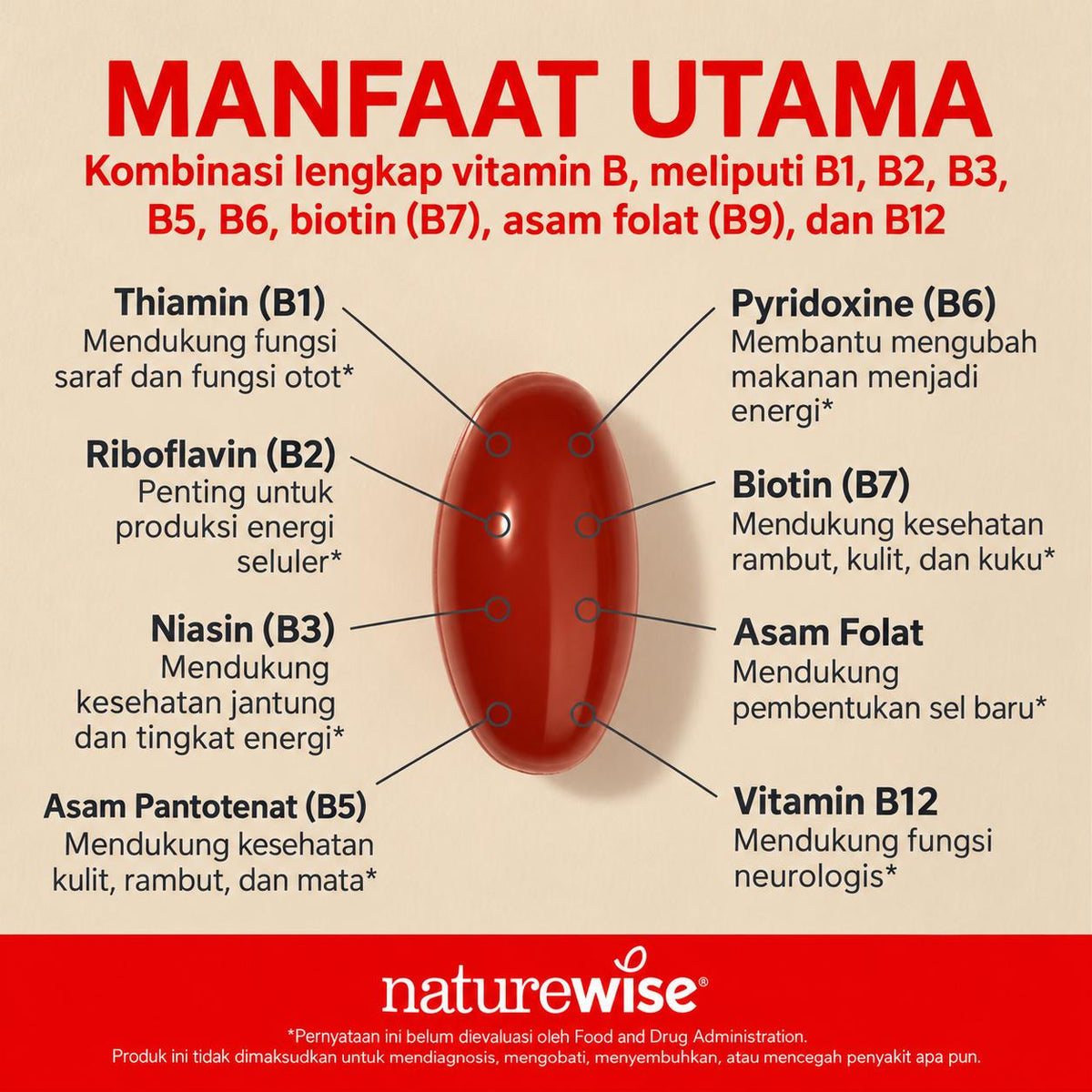 NatureWise Vitamin B Complex B1 B2 B3 B6 B12 for Women and Men + with Folic Acid + Biotin 60 Sofgels Original USA