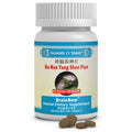 Obat Pelupa / Penambah Daya Ingat / Dimensia / Pikun Herbal BrainNew