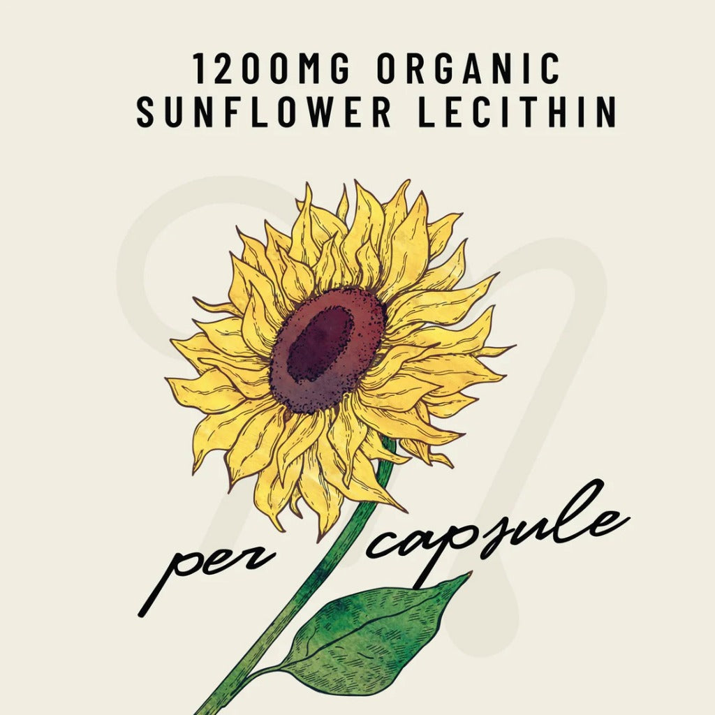 Sunflower Lecithin Organik 1200mg LEGENDAIRY MILK Repack 50 Kapsul / Botol Segel 200 Kapsul original USA