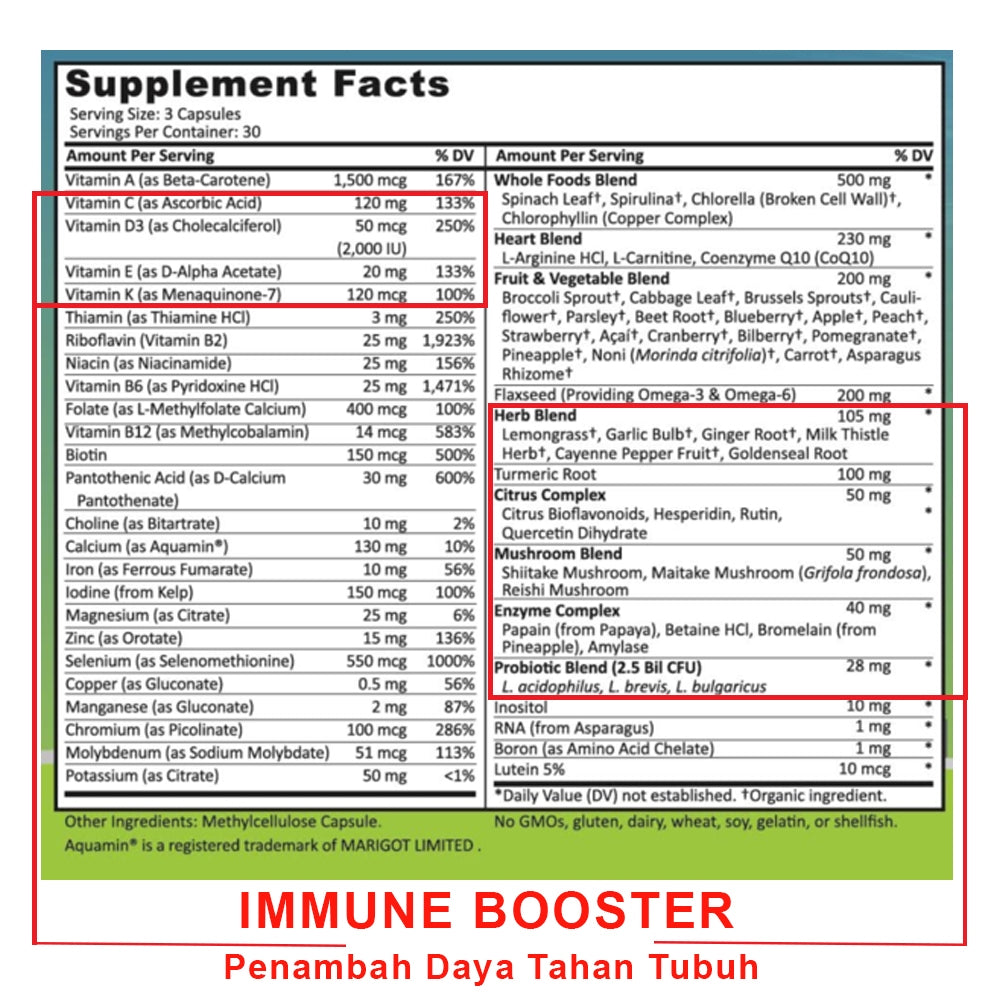 Multivitamin Wholefood Multivitamin PLUS + Probiotic ORIGINAL Supplement Studio USA