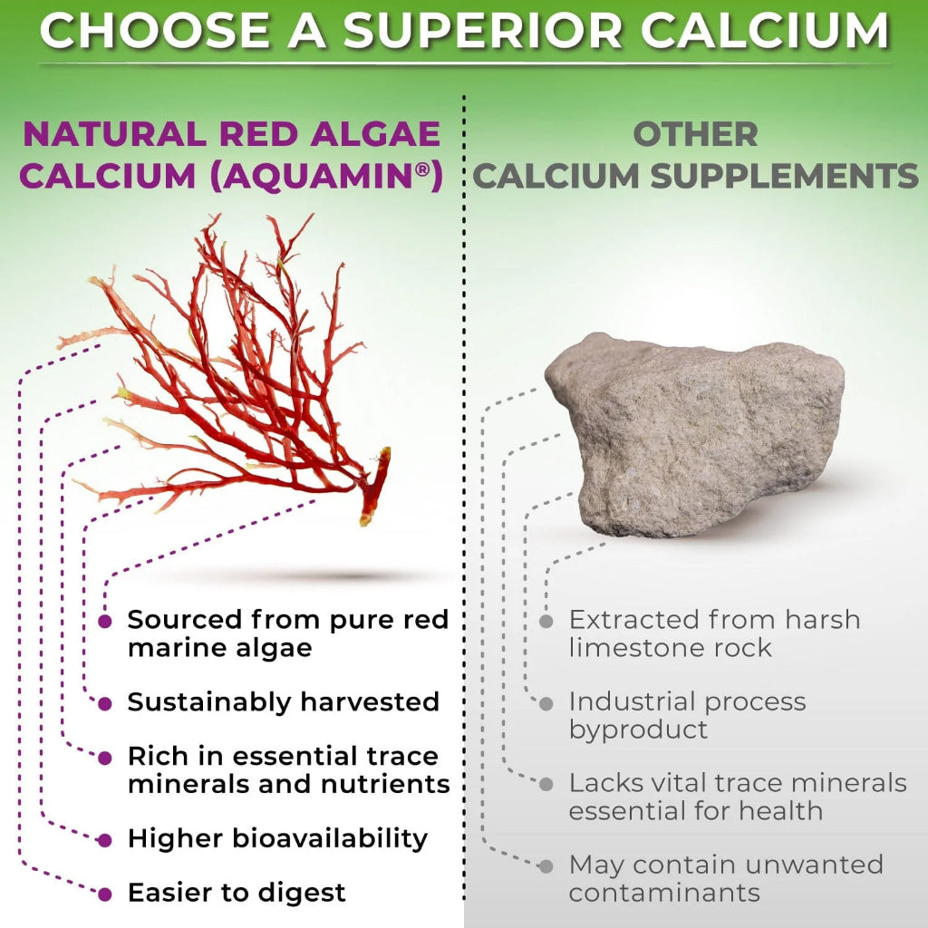 Calcium (Kalsium) PLANT BASED  + Magnesium + Zinc + D3 K2 + Turmeric 90 / 180 Capsules – Vitamin Support Tulang, Sendi, Otot | Supplement Studio USA ORIGINAL