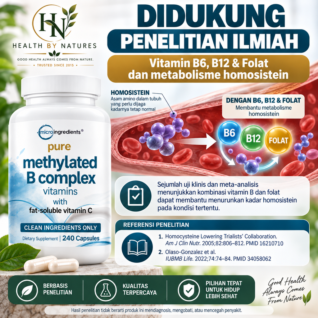 Micro Ingredients Pure Methylated B Complex 240 Capsules | Vitamin B Complex Methylated B6 B12 Folate | Methylfolate
